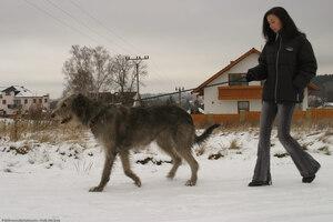 Original 1536 px/ 1024 px