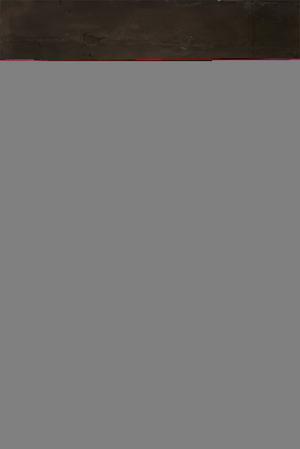 Original 2671 px/ 4000 px