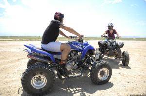 Original 2499 px/ 1663 px