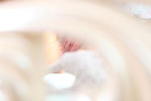 Original 5616 px/ 3744 px