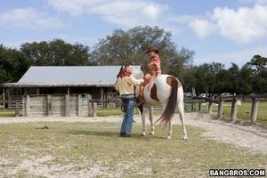 Original 800 px/ 533 px