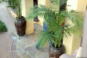 Original 2495 px/ 1663 px