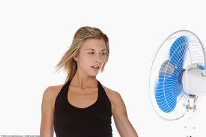 Original 1536 px/ 1024 px