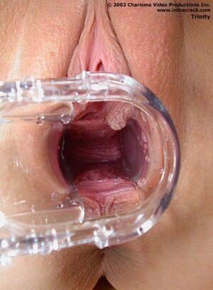 Original 565 px/ 768 px