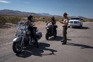 Original 2491 px/ 1663 px