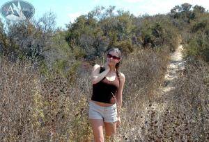 Original 800 px/ 549 px