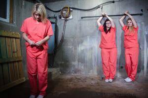 Original 1200 px/ 795 px