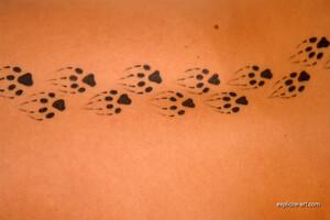 Original 1800 px/ 1200 px