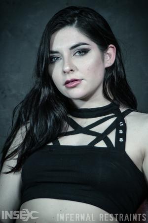 Original 795 px/ 1200 px