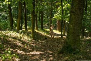 Original 2700 px/ 1800 px