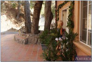 Original 850 px/ 573 px