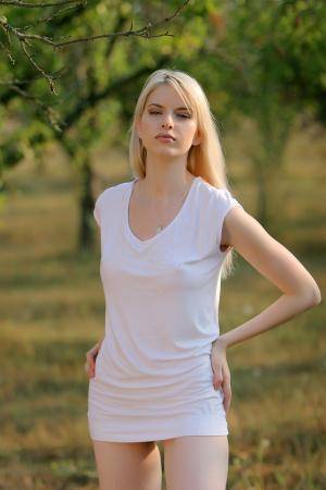 Original 2336 px/ 3504 px