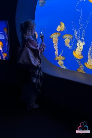 Original 3333 px/ 5000 px