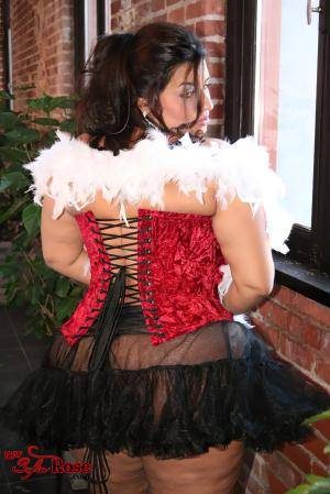 Original 2004 px/ 3000 px