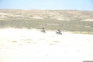 Original 2499 px/ 1663 px