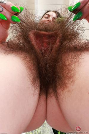 Original 2000 px/ 3000 px