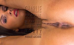 Original 3000 px/ 1823 px