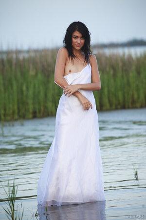 Original 1365 px/ 2048 px