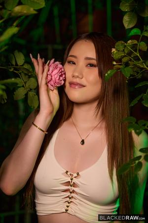 Original 2000 px/ 2999 px