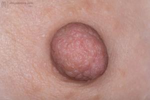 Original 6000 px/ 4000 px