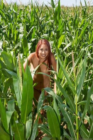 Original 1800 px/ 2700 px