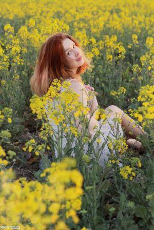 Original 856 px/ 1280 px