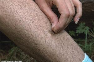 Original 1024 px/ 682 px