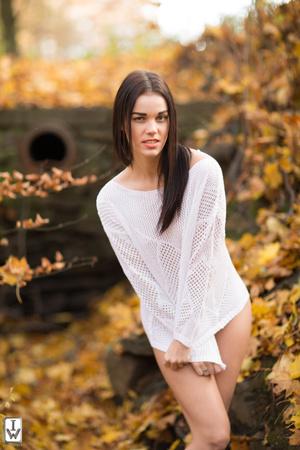 Original 2000 px/ 3000 px