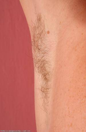 Original 672 px/ 1024 px