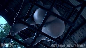 Original 1200 px/ 675 px