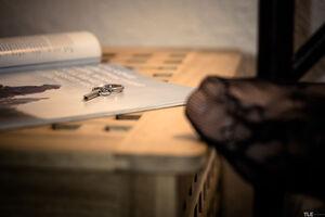 Original 6000 px/ 4000 px