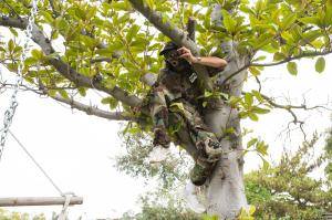 Original 2499 px/ 1663 px