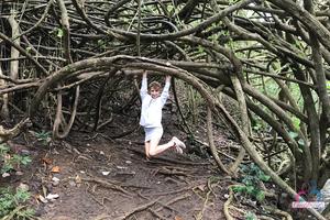 Original 3000 px/ 2000 px