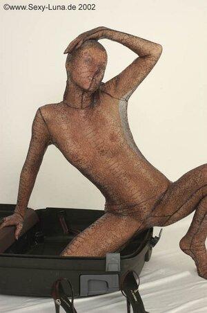 Original 531 px/ 800 px