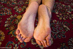 Original 1200 px/ 800 px