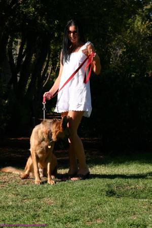 Original 1333 px/ 2000 px