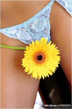 Original 800 px/ 1200 px