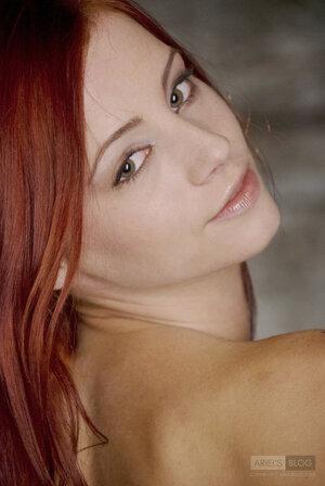 Original 1339 px/ 2000 px