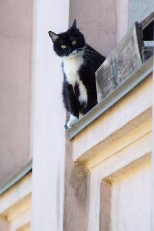 Original 3000 px/ 4500 px