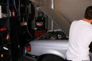 Original 2500 px/ 1667 px