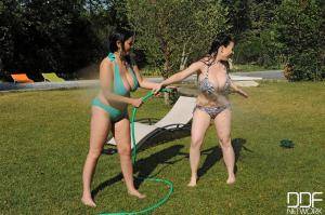 Original 2000 px/ 1331 px