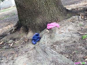 Original 1620 px/ 1210 px