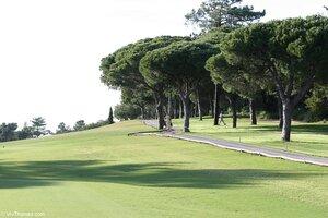 Original 1280 px/ 853 px