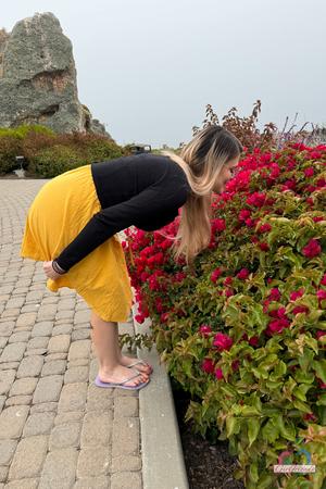 Original 2000 px/ 3000 px