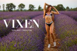 Original 3000 px/ 2000 px