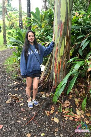 Original 2000 px/ 3000 px