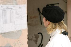 Original 1536 px/ 1024 px