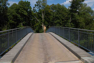 Original 3872 px/ 2592 px