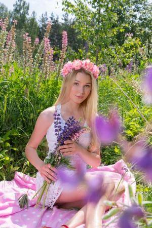 Original 400 px/ 600 px