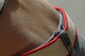 Original 3008 px/ 2000 px